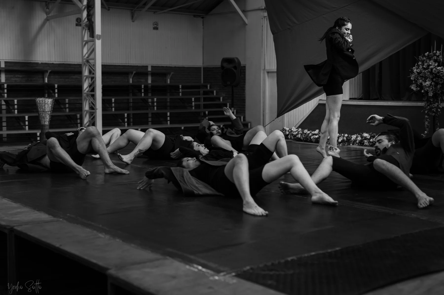 Mardanza — presentación